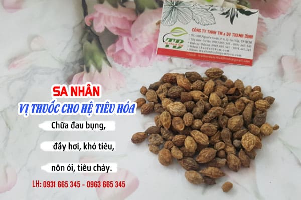 sa nhân thảo dược thanh bình
