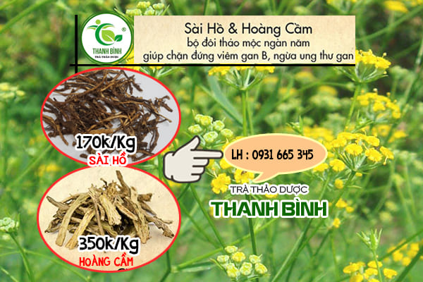 sài hồ thảo dược thanh bình
