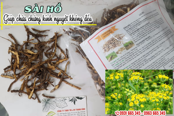 sài hồ thảo dược thanh bình