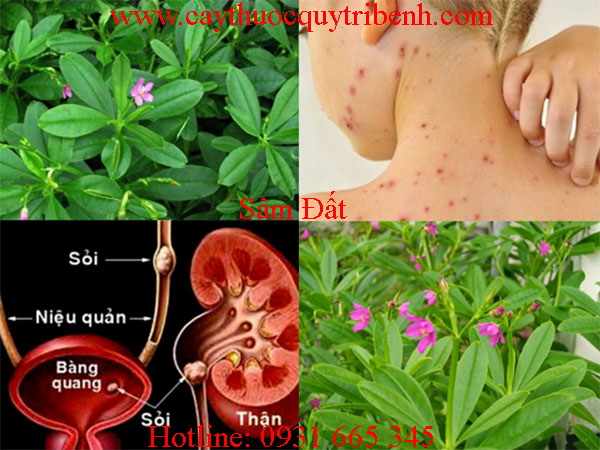 mua-sam-dat-o-dau-tai-tp-hcm-uy-tin