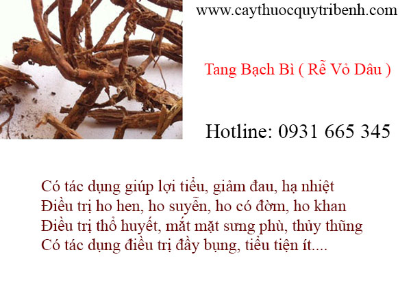mua-tang-bach-bi-tai-tp-hcm-uy-tin-chat-luong-nhat