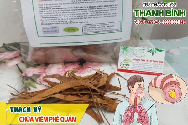 thạch vỹ thảo dược thanh bình