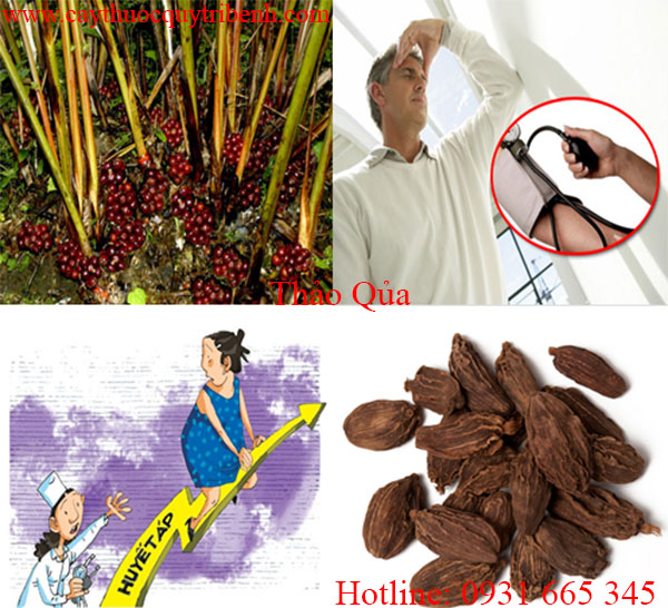 mua-thao-qua-chat-luong-tai-tp-hcm