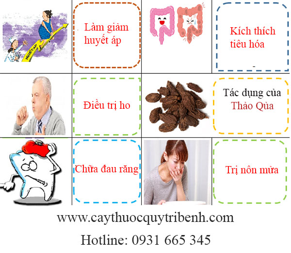 mua-thao-qua-uy-tin-tai-tp-hcm