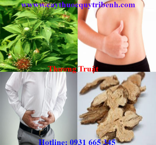 mua-thuong-truat-chat-luong-tai-tp-hcm