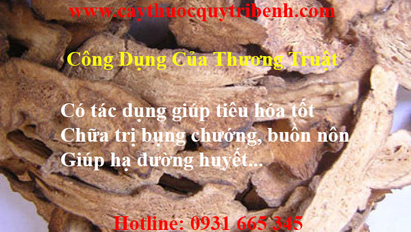 mua-thuong-truat-uy-tin-chat-luong-tai-tp-hcm
