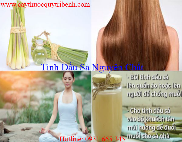 tinh dầu sả