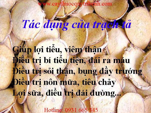 mua-trach-ta-o-dau-tai-tp-hcm-uy-tin-nhat