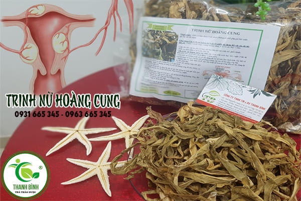 trinh nữ hoàng cung thanh bình