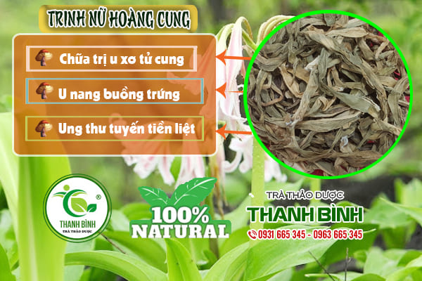 trinh nữ hoàng cung thanh bình