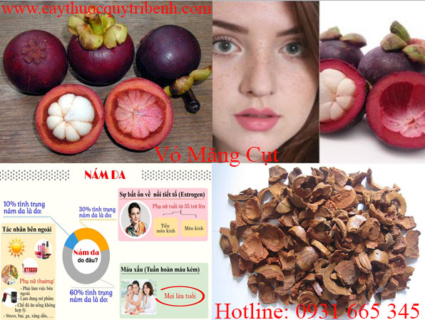 mua-vo-mang-cut-uy-tin-chat-luong-tai-tp