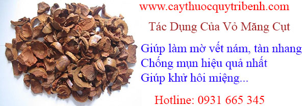 mua-vo-mang-cut-uy-tin-tai-tp-hcm