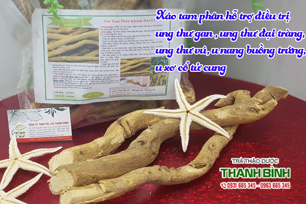 mua-xao-tam-phan-thao-duoc-thanh-binh-2