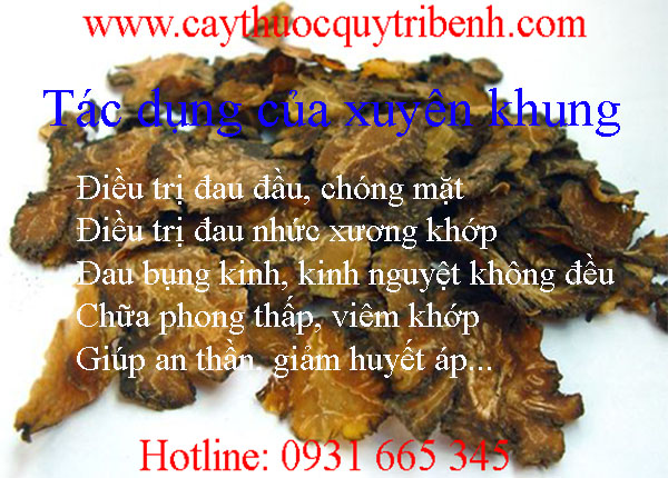 xuyên khung