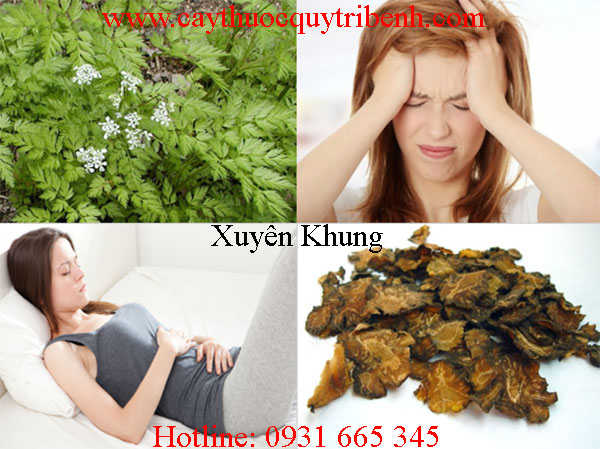 xuyên khung