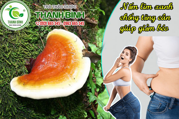 nam-lim-xanh-thanh-binh