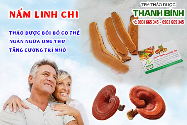 nấm linh chi