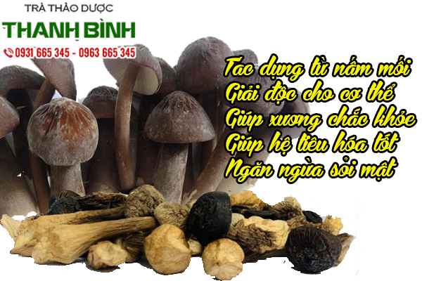 nam-moi-thanh-binh