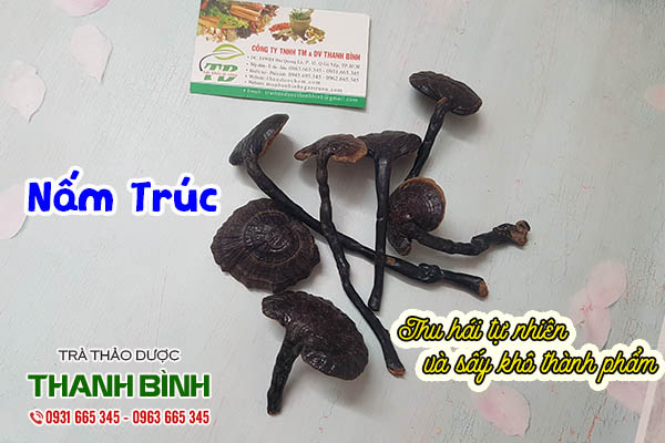 nấm trúc thảo dược thanh bình