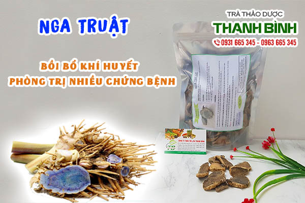 nga truật