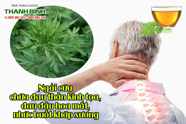 ngai-cuu-thanh-binh