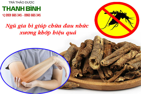 ngu-gia-bi-thanh-binh
