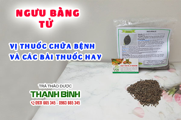 ngưu bàng tử