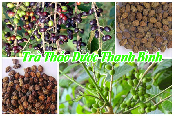 nha-dam-tu-thanh-binh