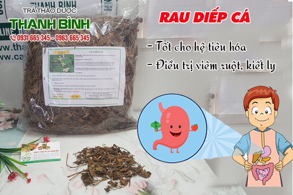 rau-diep-ca-thanh-binh-2