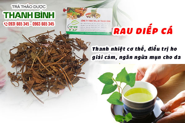 rau-diep-ca-thanh-binh-3