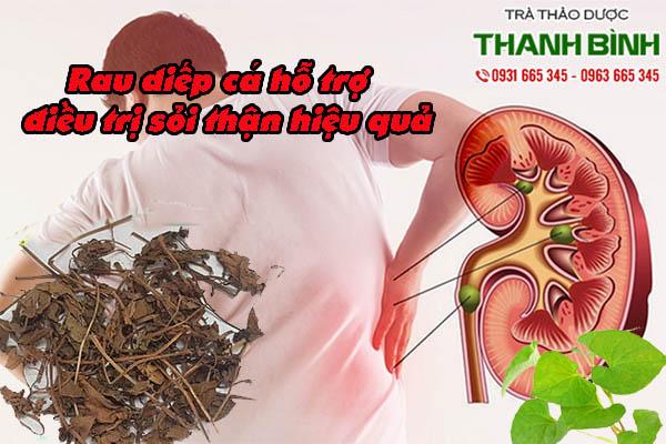 rau-diep-ca-thanh-binh-1