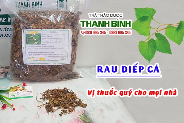rau-diep-ca-thanh-binh-1