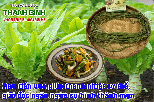 rau-tien-vua-kho-thao-duoc-thanh-binh