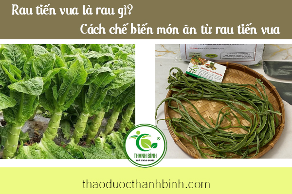 rau-tien-vua-thanh-binh