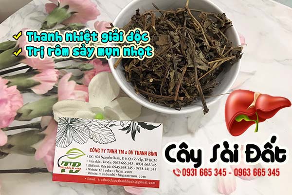cay-sai-dat-thao-duoc-thanh-binh