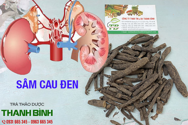 sam-cau-den-thanh-binh-1