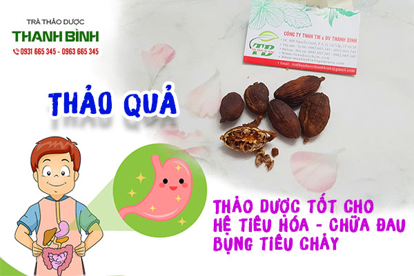 thao-qua-thanh-binh-1