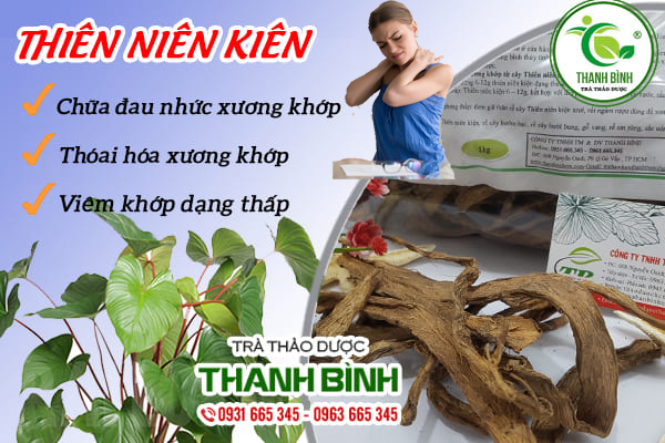 thien-nien-kien-thanh-binh