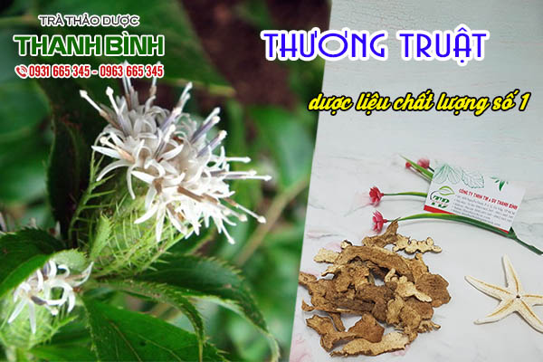 thuong-truat-thanh-binh