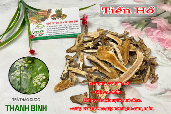 Tiền Hồ Thảo dược Thanh Bình