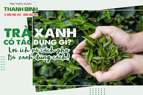 tra-xanh-thanh-binh