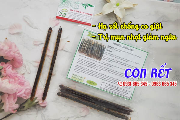 con rết thảo dược thanh bình