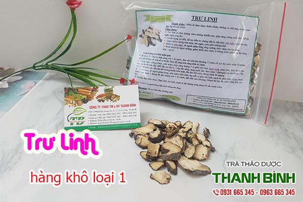 trư linh thảo dược thanh bình