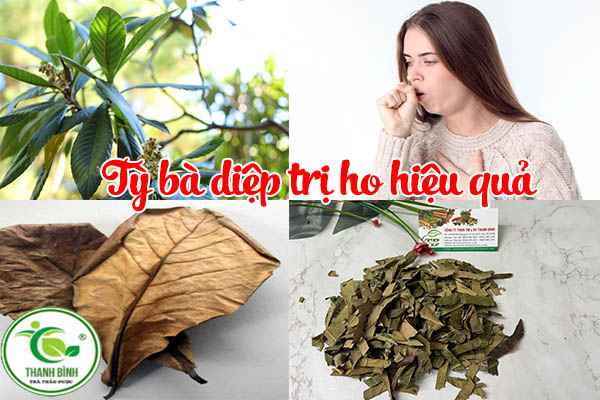 ty-ba-diep-thanh-binh