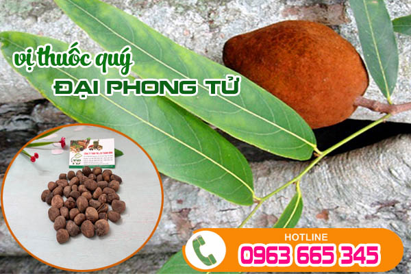dai-phong-tu-thanh-binh