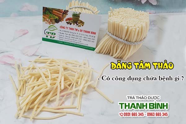 Đăng tâm thảo Thảo dược Thanh Bình