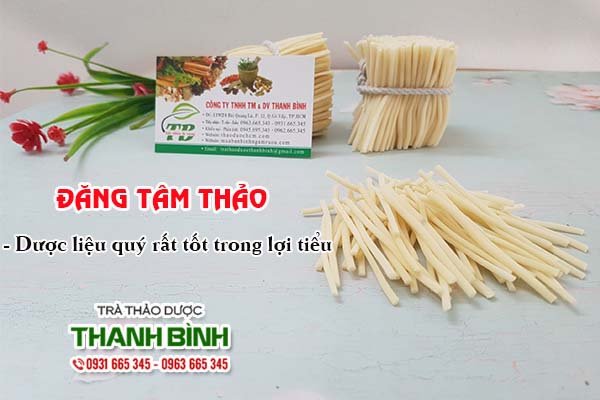 Đăng tâm thảo Thảo dược Thanh Bình