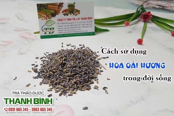 Hoa Oải Hương Thảo Dược Thanh Bình