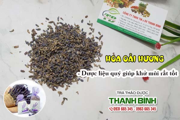 Hoa Oải Hương Thảo Dược Thanh Bình