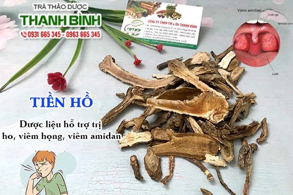 tien-ho-thanh-binh